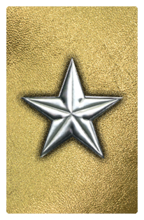 DF35T 430 SL GD Star Silver Gold